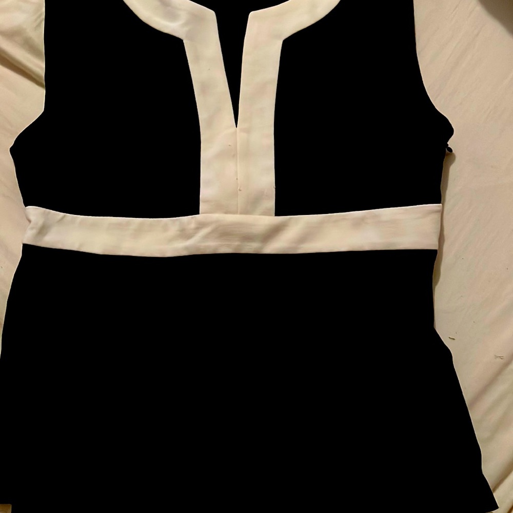 Ann Taylor top